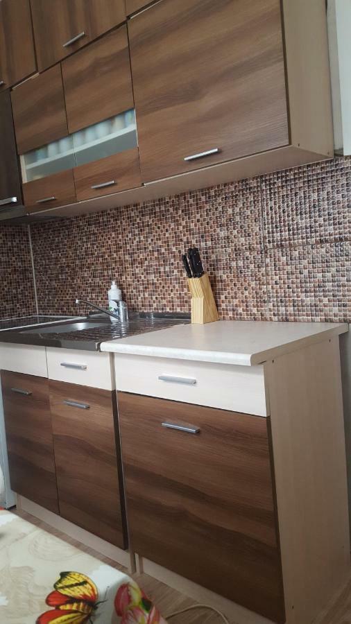 Poilsis Ignalinoje Apartamentai ภายนอก รูปภาพ